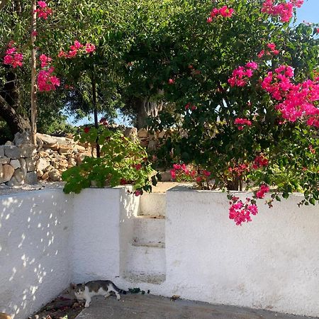 Bei Tempi Villa Polignano a Mare Exterior photo
