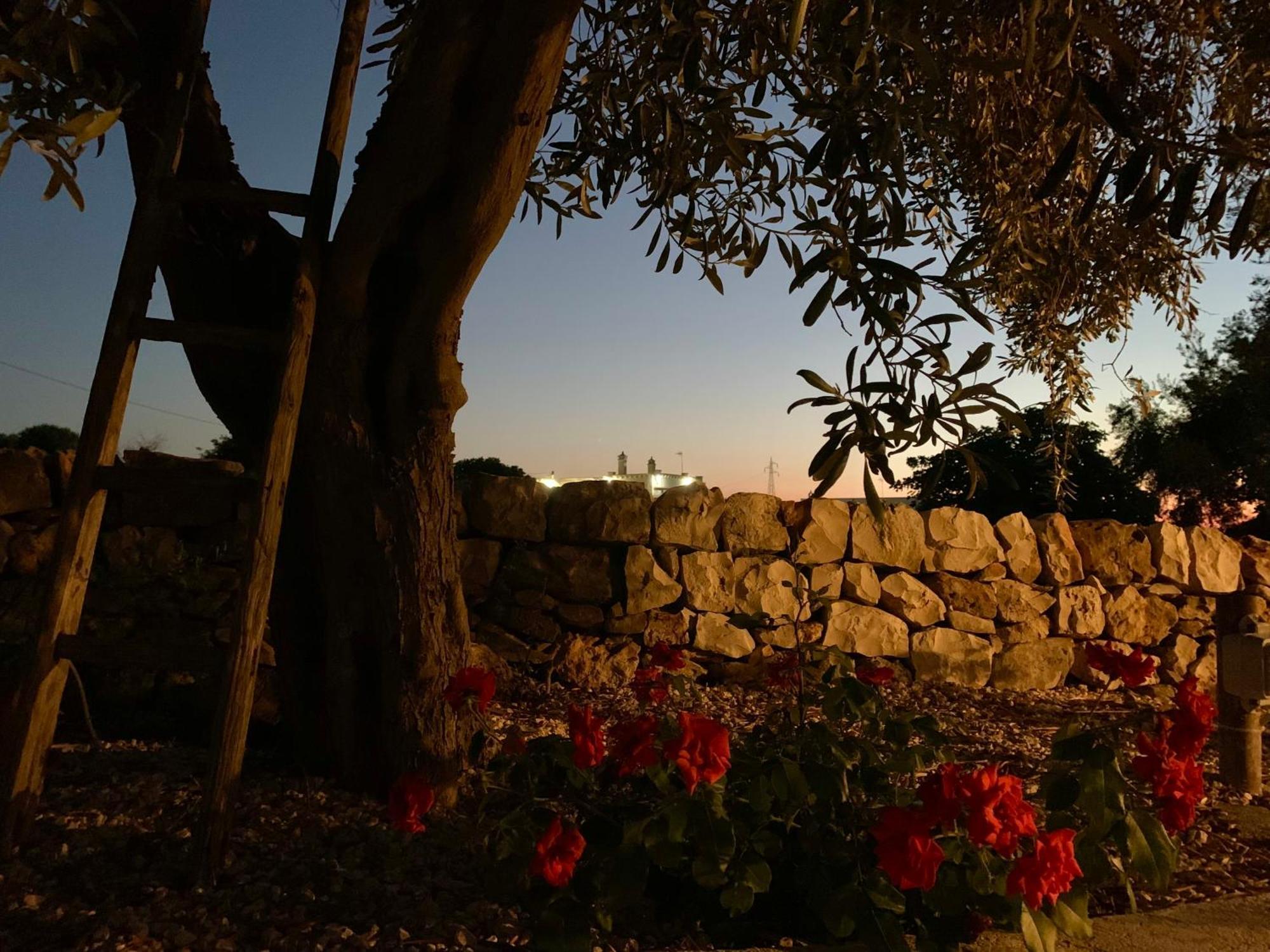 Bei Tempi Villa Polignano a Mare Exterior photo